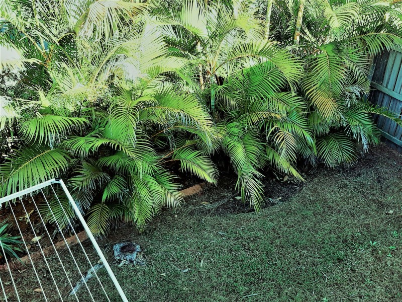 40/1-15 Santa Isobel Blvd, Pacific Pines QLD 4211