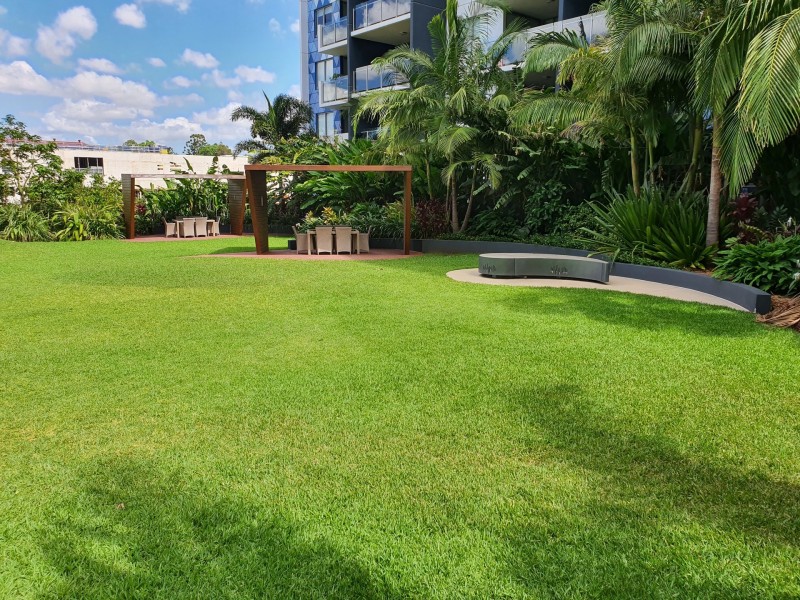 40703/50 Duncan Street, West End QLD 4101