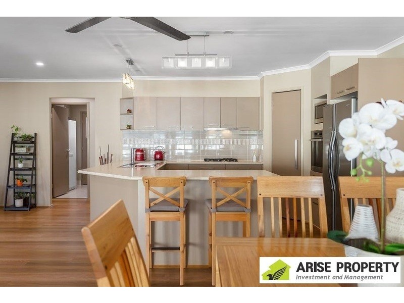 10 Poinciana Pl, Eight Mile Plains QLD 4113