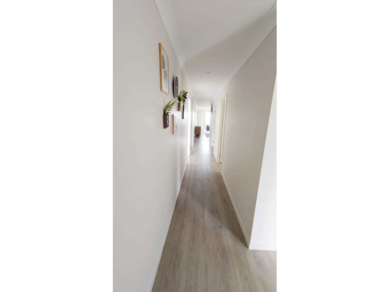 8 Hardwood Street, Spring Mountain QLD 4124