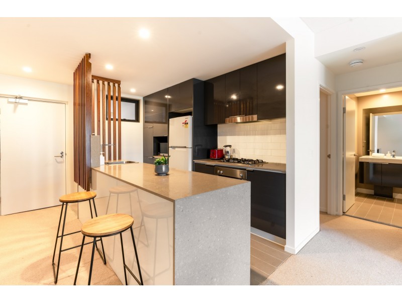 213/21 Peter Doherty Street, Dutton Park QLD 4102