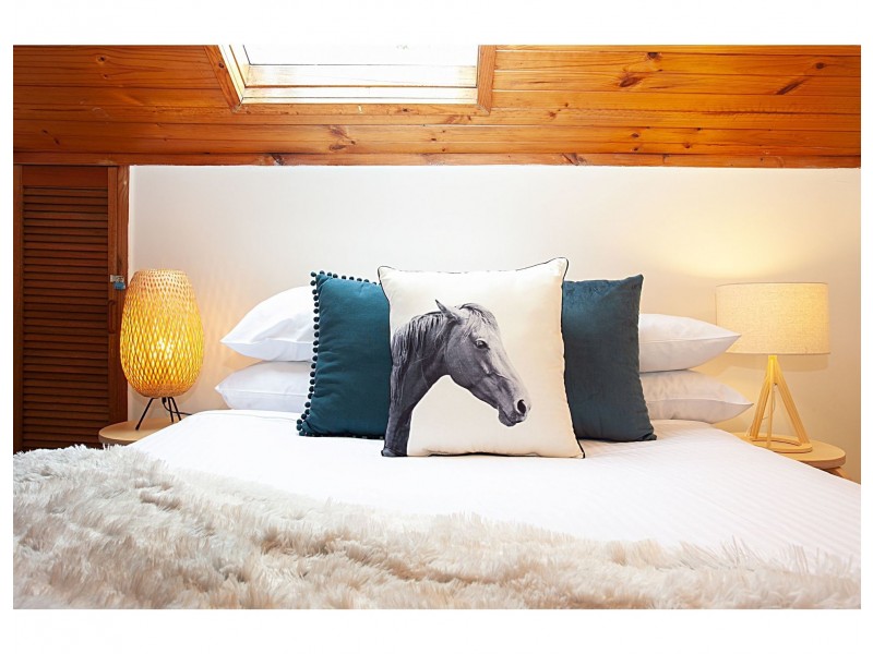 31 little mount street, Pyrmont NSW 2009