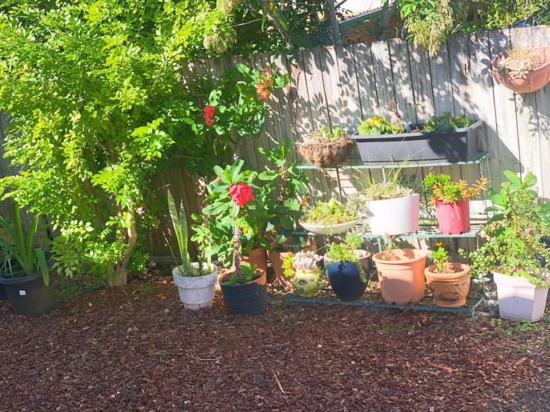 22 Farne Street, Sunnybank Hills QLD 4109