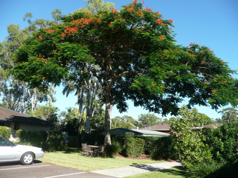 6/247 Mooroondu Road, Thorneside QLD 4158