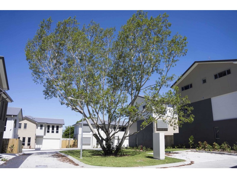 11/248 PADSTOW ROAD, Eight Mile Plains QLD 4113