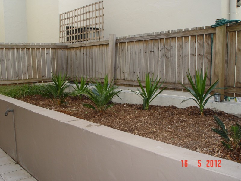 8/79 Berwick Street, Fortitude Valley QLD 4006