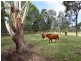 381 Bishop Road, Beachmere QLD 4510
