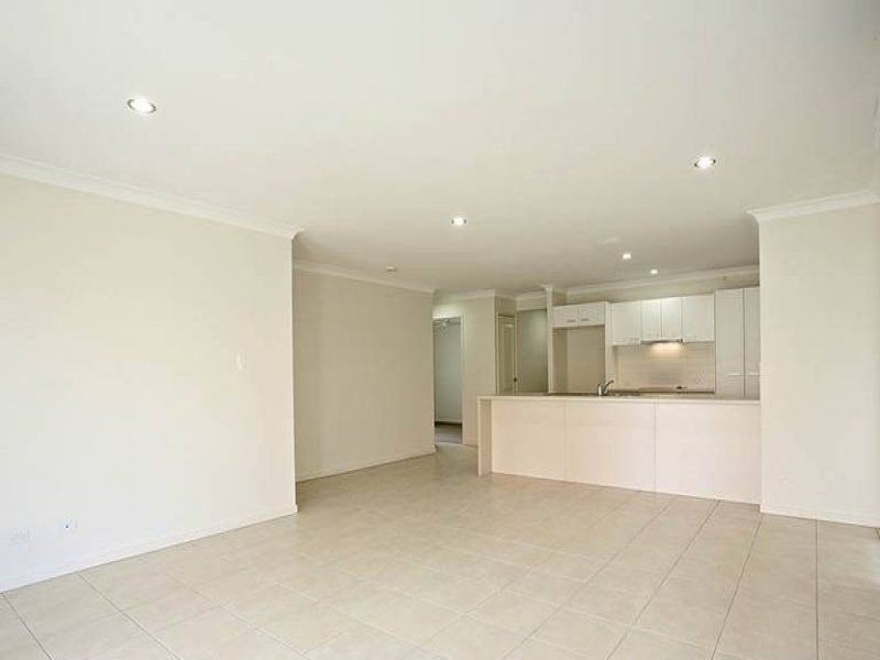 53 Daintree Street, Bellmere QLD 4510