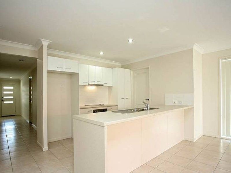 53 Daintree Street, Bellmere QLD 4510