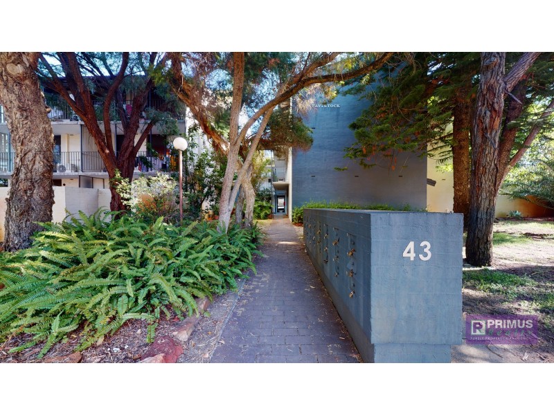 8/43 First Avenue, Mount Lawley WA 6050