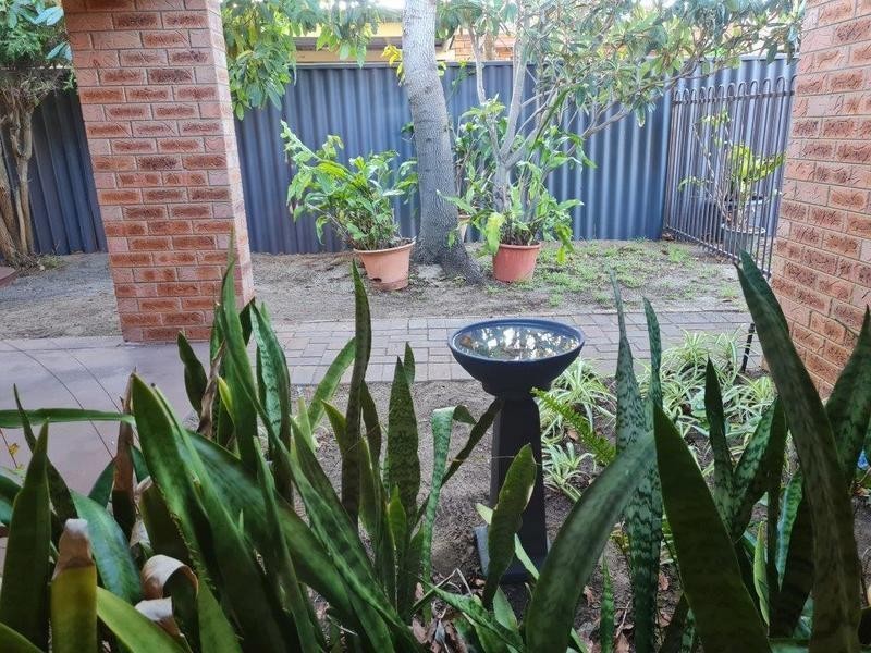 14 Iron Bark Row, Willetton WA 6155