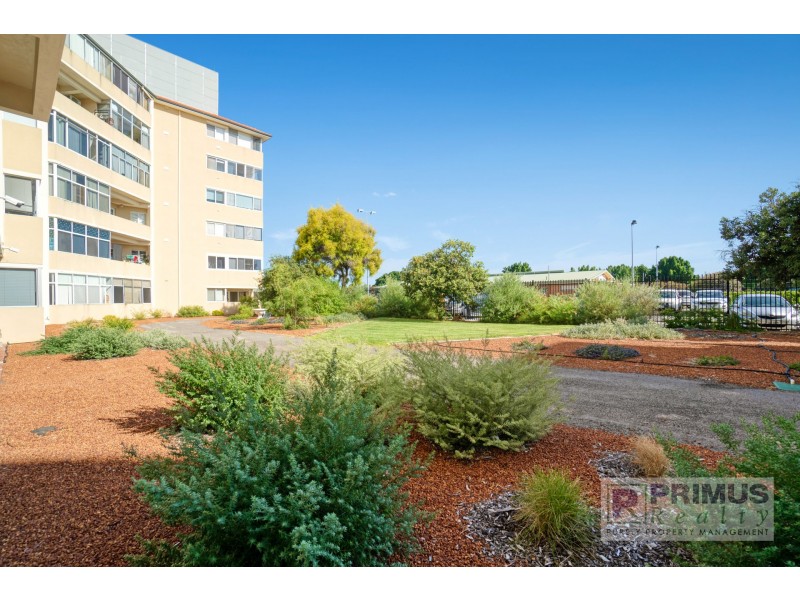 408/45 Adelaide Terrace, East Perth WA 6004