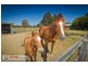 78 Mathew Crescent, Burpengary QLD 4505