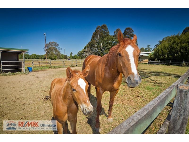 78 Mathew Crescent, Burpengary QLD 4505