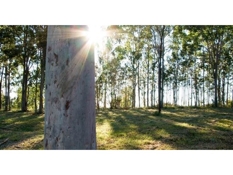 740 Caboolture River RD MOUNTAIN VIEWS ESTATE, Upper Caboolture QLD 4510