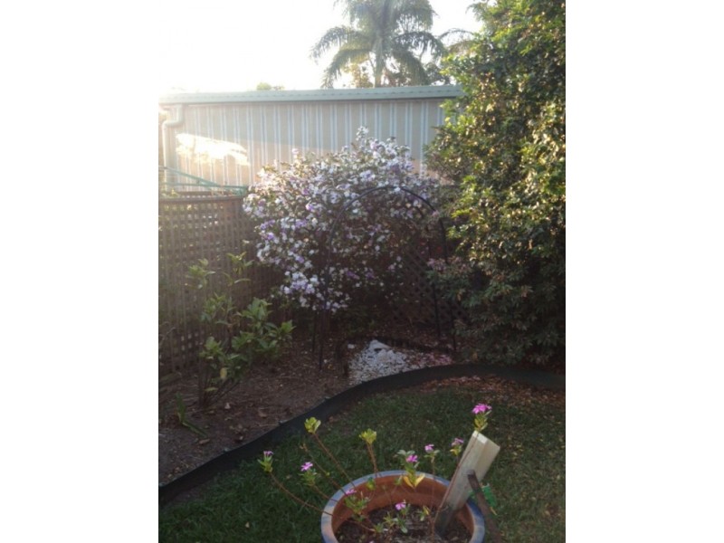 Site 135 Palm Crescent, Pine Village, Burpengary QLD 4505