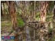 Woodford QLD 4514
