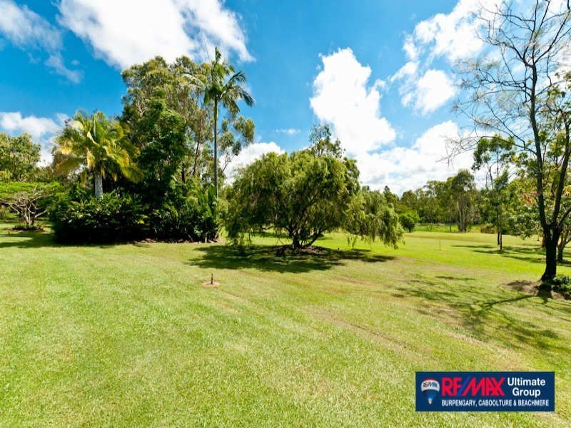 46 Bristlebird Drive, Morayfield QLD 4506