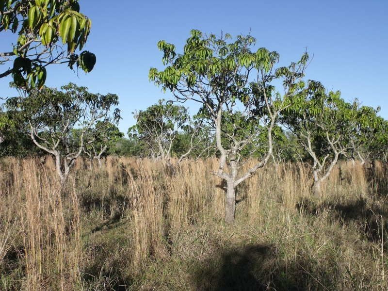 215 Smiths Road, Caboolture QLD 4510