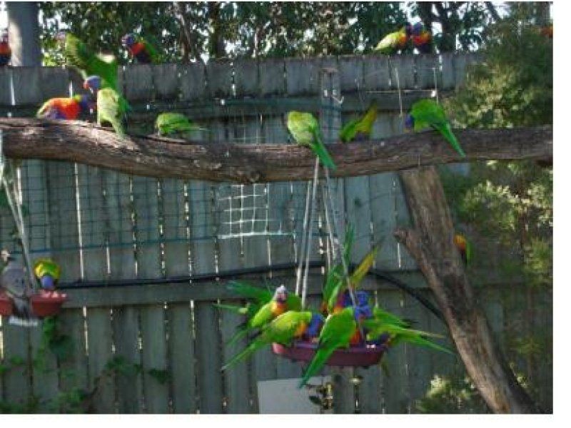 99 Station Road, Burpengary QLD 4505