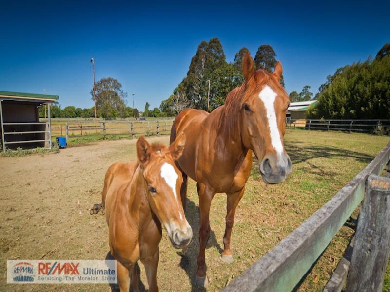 78 Mathew Crescent, Burpengary QLD 4505