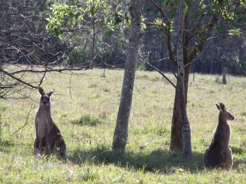 632 Beachmere Road, Beachmere QLD 4510