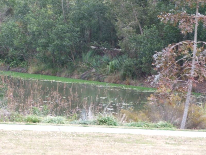 D’aguilar QLD 4514