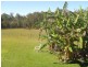38 Derrick Road, Wamuran QLD 4512