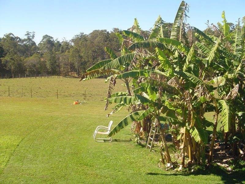 38 Derrick Road, Wamuran QLD 4512