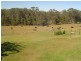 38 Derrick Road, Wamuran QLD 4512