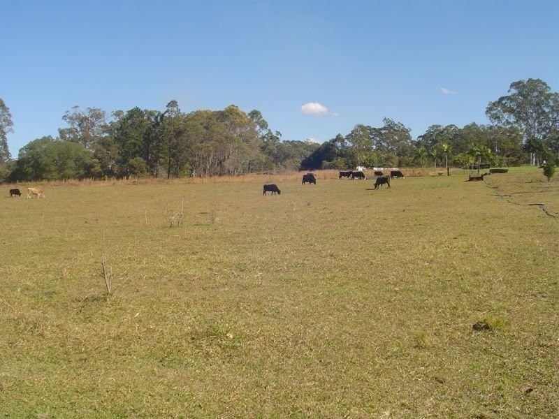 38 Derrick Road, Wamuran QLD 4512