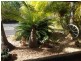 427 Uhlmann Road, Burpengary QLD 4505