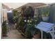 Burpengary QLD 4505