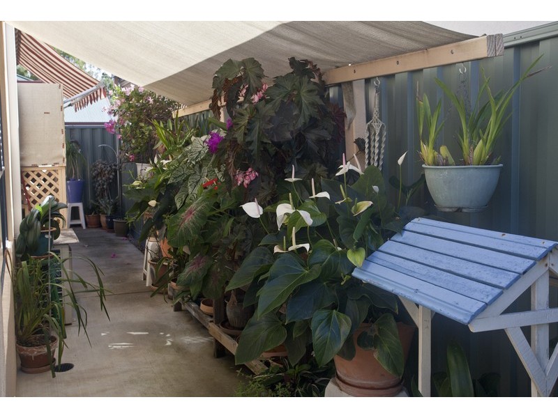 Burpengary QLD 4505