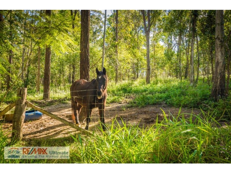 155 W Lindsay Road, Wamuran QLD 4512