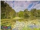33 Regan Road, Wamuran QLD 4512