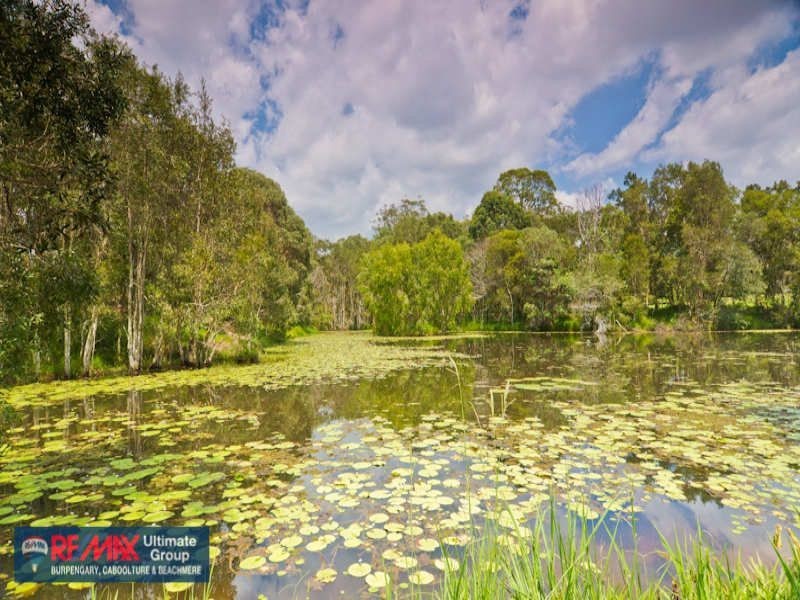 33 Regan Road, Wamuran QLD 4512