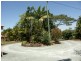 16 Mifawny Rd, Elimbah QLD 4516