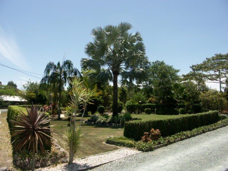 16 Mifawny Rd, Elimbah QLD 4516