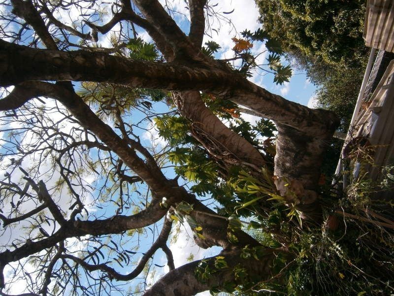 228 King  St, Caboolture QLD 4510