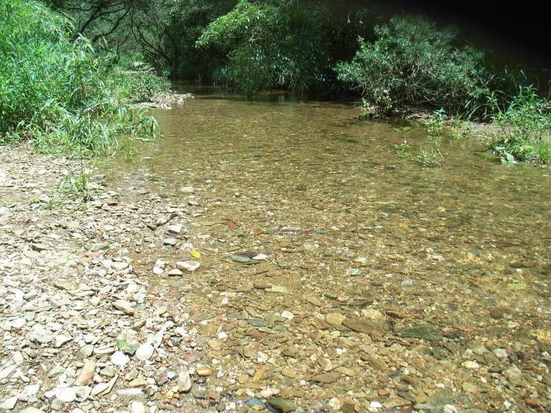 227 Campbells Pocket Road, Wamuran QLD 4512