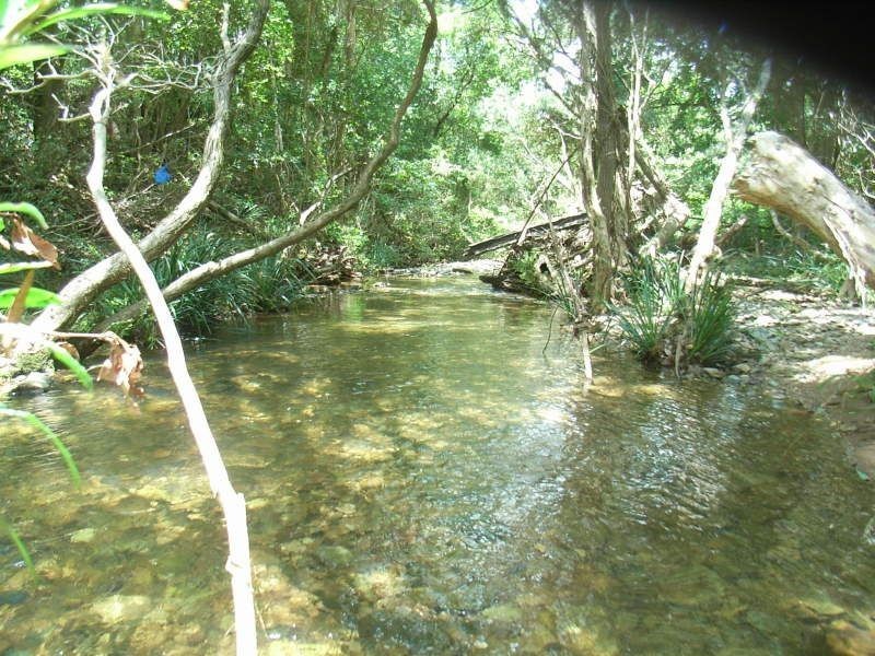 227 Campbells Pocket Road, Wamuran QLD 4512