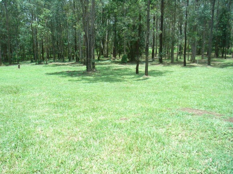 227 Campbells Pocket Road, Wamuran QLD 4512