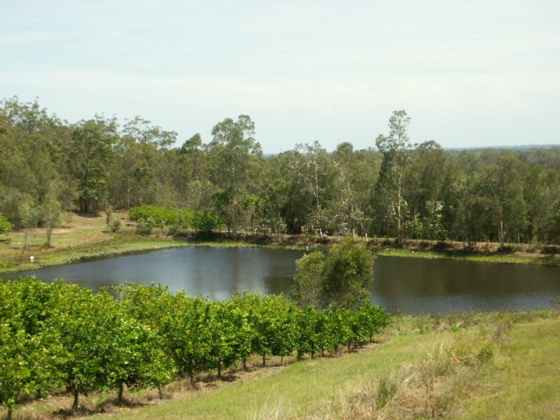 Elimbah QLD 4516