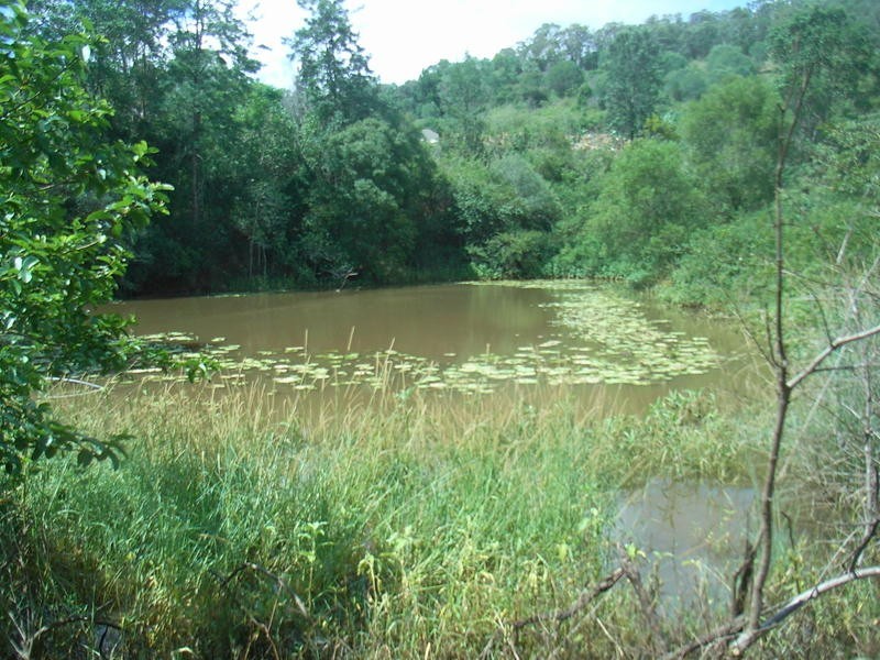 Wamuran Basin QLD 4512