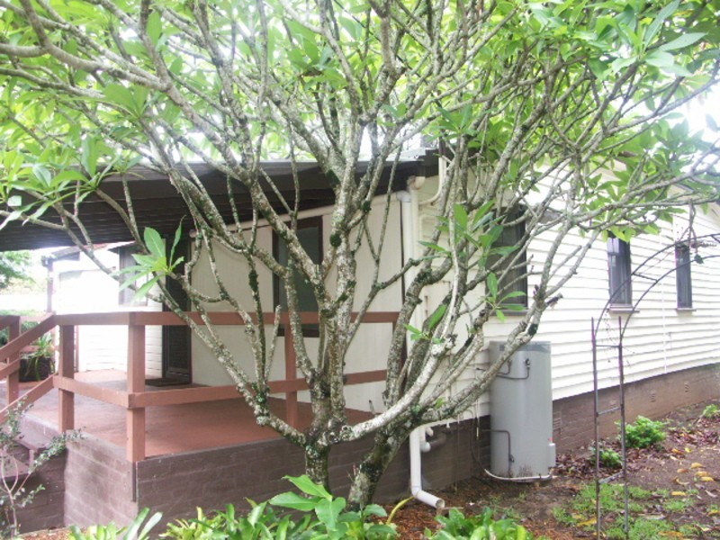 43 Jocelyn Street, Caboolture QLD 4510