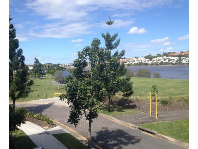 11/46 Addison Ave, Bulimba QLD 4171