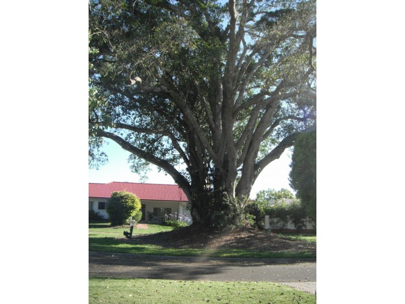 13 Meredith Cres, Rangeville QLD 4350