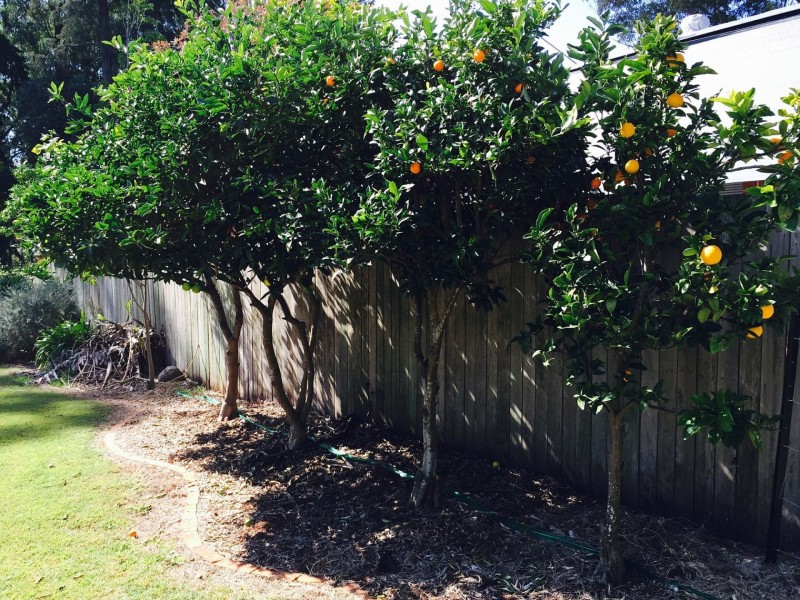 13 Meredith Cres, Rangeville QLD 4350