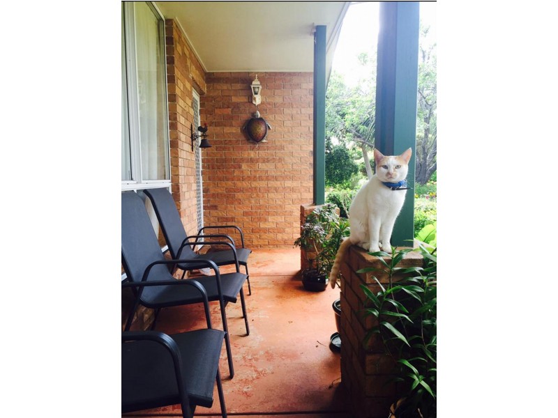 13 Meredith Cres, Rangeville QLD 4350